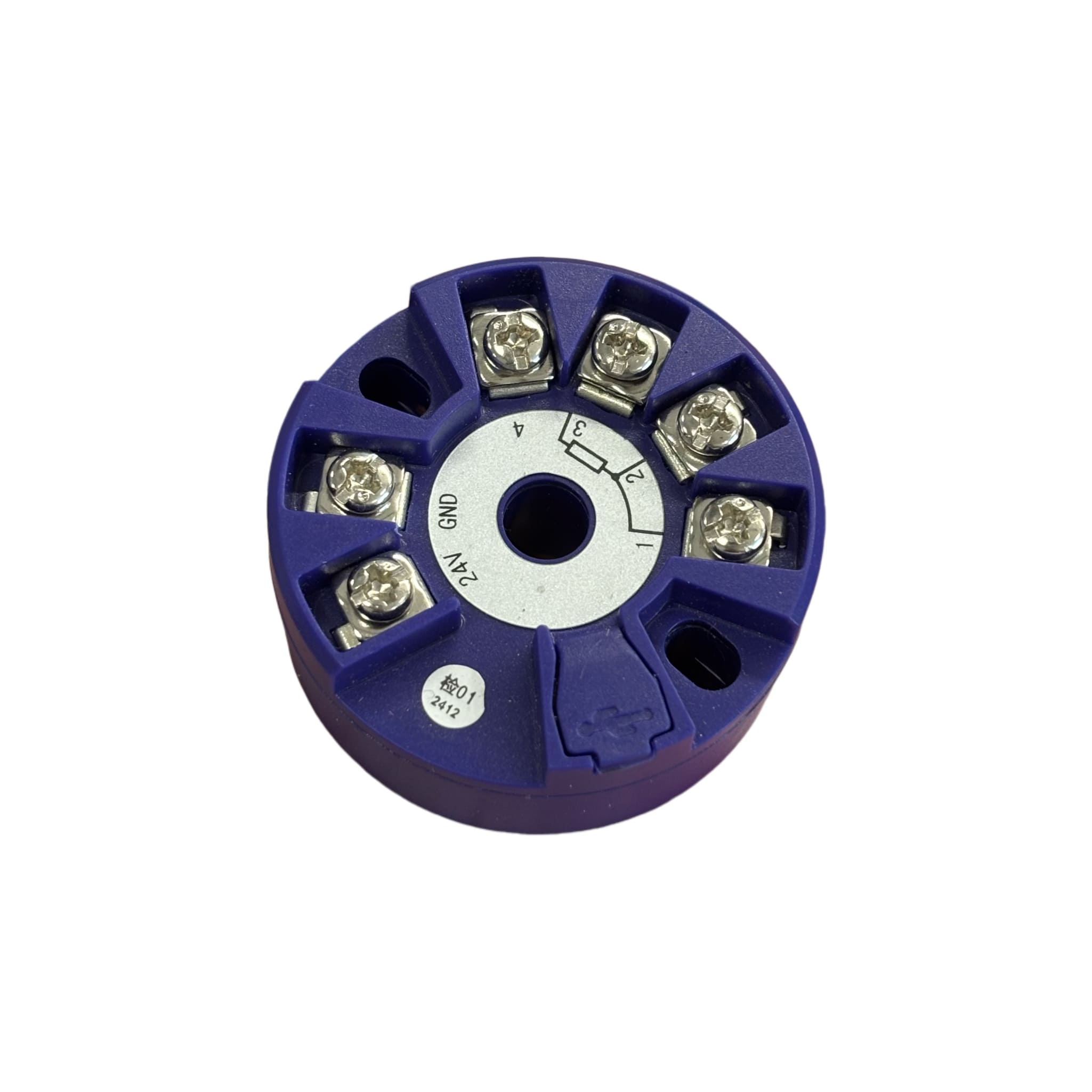 Head Mounted Temperature Transmitter